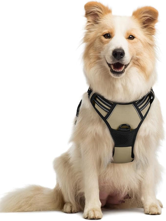 rabbitgoo Dog Harness No Pull with 2 Leash Clips, Adjustable Soft Padded, Reflective Oxford No Choke Pet Vest with Easy Control Handle for Medium Sized Dogs, Beige, M rabbitgoo