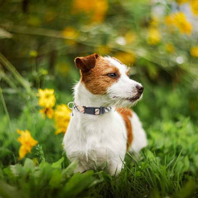 PUPTECK Adjustable Pet Harness Collar &Leash Set Step in for Small Dogs Puppy &Cats Outdoor Training &Running, Soft Mesh Padded Reflective Vest Harness,M: Chest girth: 16-18in Collar: 11.8-15.7in PUPTECK