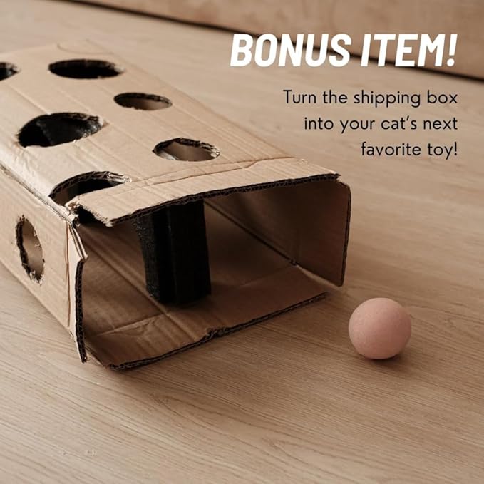 Ergonomic Cat Ceramic Bowls Stand for Food and Water, Small Dog, Anti Vomit, Indoor Cats, Elevated, Tilted Feeding Position, Full Bamboo Stand with Food Grade, Whisker Friendly Dish for Cats and Puppy - PAWPICO