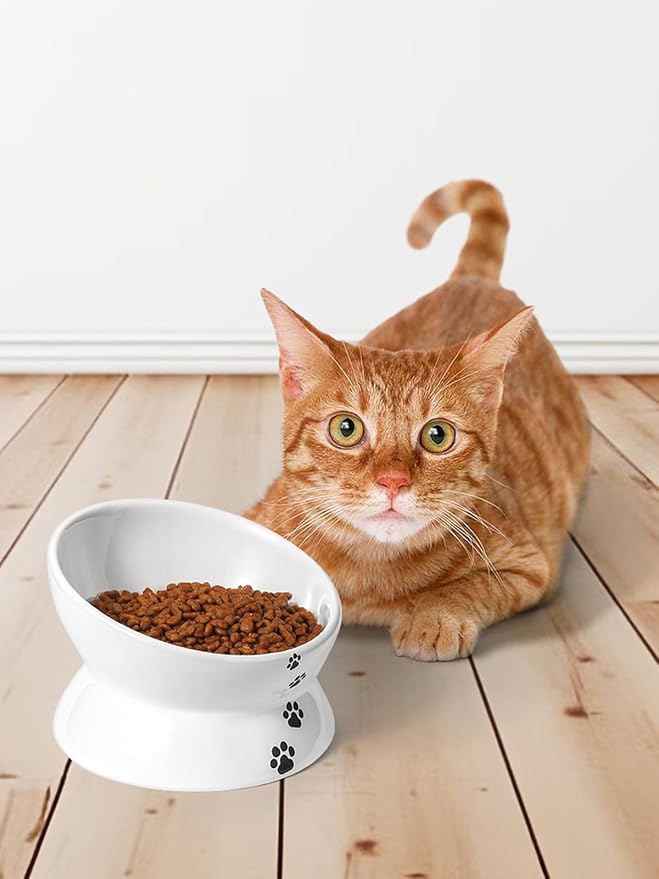 Y YHY Cat Food Bowl 6", Elevated Tilted Cat Bowl, Raised Cat Bowls for Adult Cats or Dogs, Ceramic Pet Food Water Dish 10 oz, White - PAWPICO