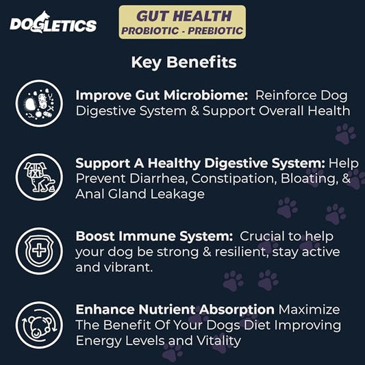 Gut Health Probiotic & Prebiotic - 90ct Support Stomach Microbiome, Prevent Digestive Problems, Reduce Anal Gland Issues, Improve Immune Function and Overall Energy Dogletics