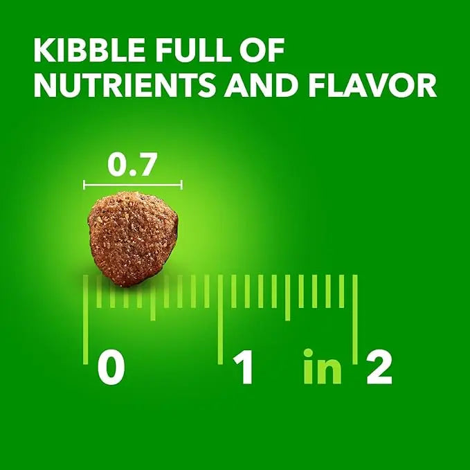 IAMS Proactive Health Large Breed Adult Dry Dog Food with Real Chicken, 15 lb. Bag - PAWPICO