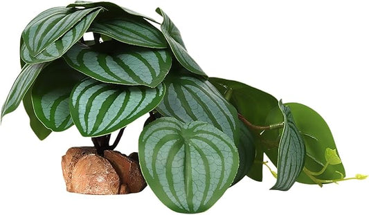 Reptile Plants for Terrarium, Ball Python Tank Decor Accessories fit Bearded Dragon Crested Leopard Gecko Lizard Chameleon Snake Frog Tortoise Hermit Crab - Fake Calathea Orbifolia WOLEDOE