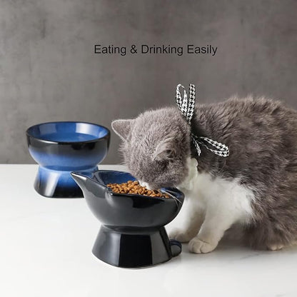 Nihow Elevated Cat/Dog Bowls Set : 5 Inch Ceramic Raised Cat Food and Water Bowl Set for Protecting Pet's Spine - Feeding & Watering Supplies for Pets- Elegant Blue & Black (2PC) - PAWPICO