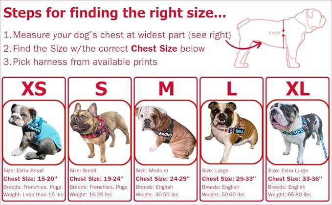 BULLHUG Harness – Made for Larger Chested Dogs Like English Bulldogs, French Bulldogs, Pugs & More. Stops Dogs from Pulling & Choking on Walks (Cups Medium) BULLHUG