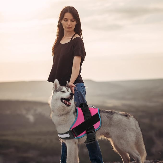 Bolux Dog Harness, No-Pull Reflective Dog Vest, Breathable Adjustable Pet Harness with Handle for Outdoor Walking - No More Pulling, Tugging or Choking X-Small (Pack of 1) RoseTurquoise Bolux