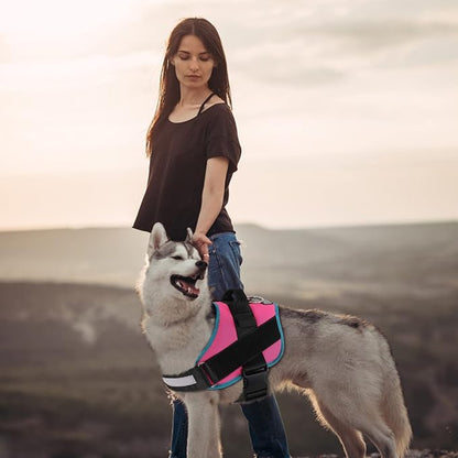 Bolux Dog Harness, No-Pull Reflective Dog Vest, Breathable Adjustable Pet Harness with Handle for Outdoor Walking - No More Pulling, Tugging or Choking X-Small (Pack of 1) RoseTurquoise Bolux