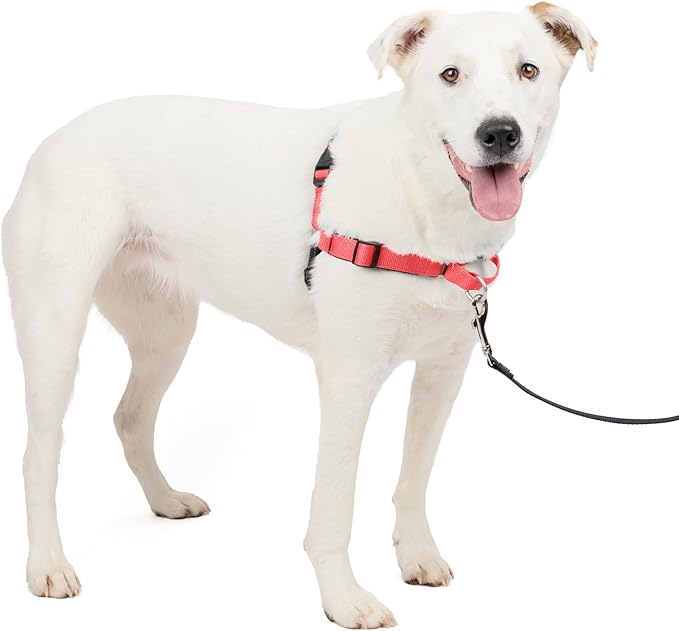 PetSafe Easy Walk Deluxe Dog Harness, No Pull Dog Harness – Perfect for Leash & Harness Training – Stops Pets from Pulling and Choking on Walks – Medium/Large, Rose PetSafe