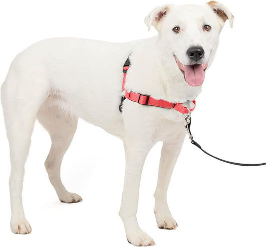 PetSafe Easy Walk Deluxe Dog Harness, No Pull Dog Harness – Perfect for Leash & Harness Training – Stops Pets from Pulling and Choking on Walks – Medium/Large, Rose PetSafe