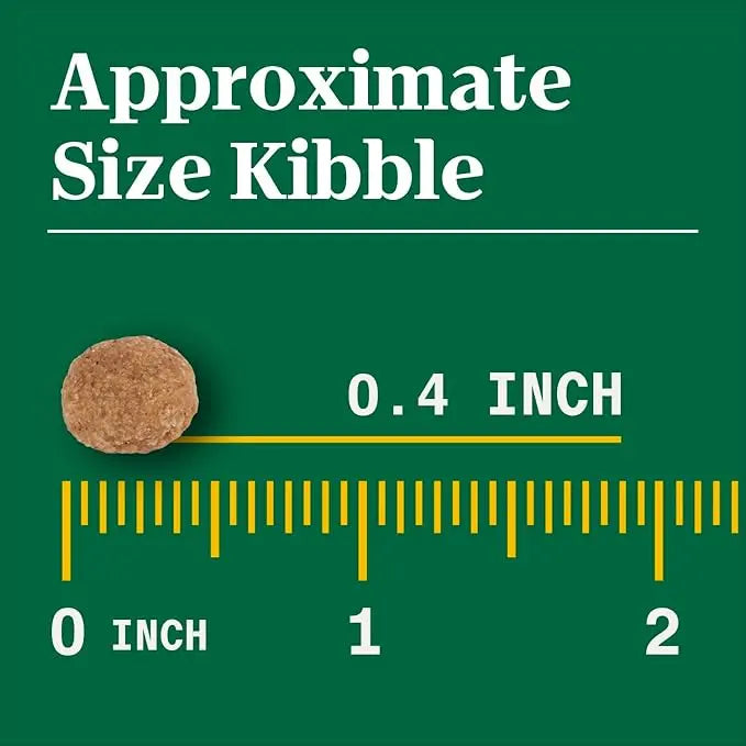 Nutro Natural Choice Adult Dry Dog Food, Chicken and Brown Rice Recipe 5 lbs. - PAWPICO