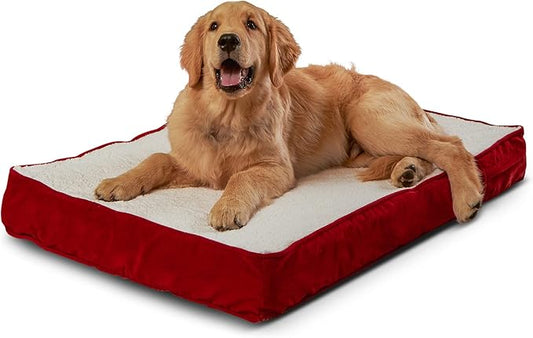 Happy Hounds Oscar Rectangle Orthopedic Foam Sherpa Dog Bed, Small (36 x 24 in.), Red - PAWPICO