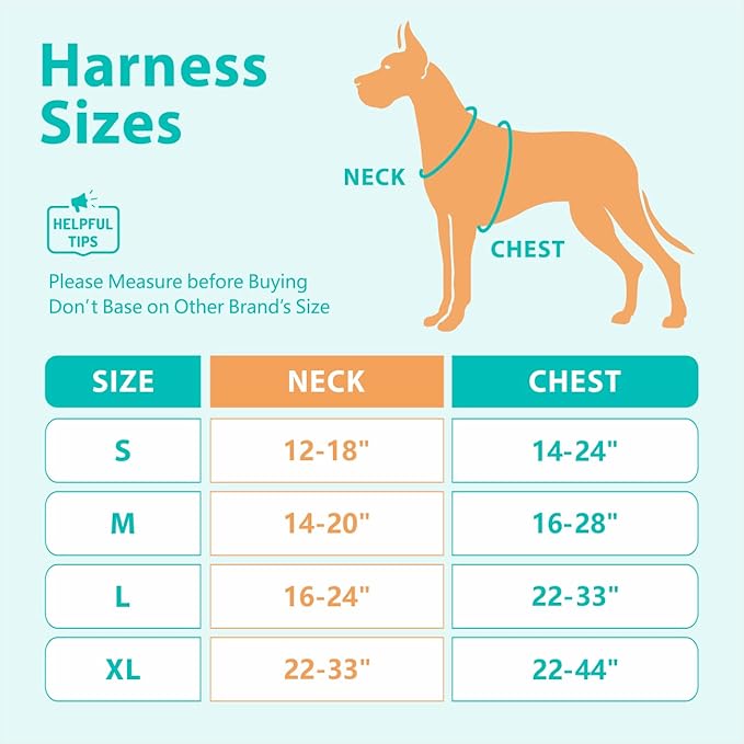 PoyPet No Pull Dog Harness, No Choke Front Clip Reflective Dog Vest with Soft Padded Vertical Handle, 3 Leash Attachments for Small Medium Large Dogs (Tumalo Teal,S) PoyPet