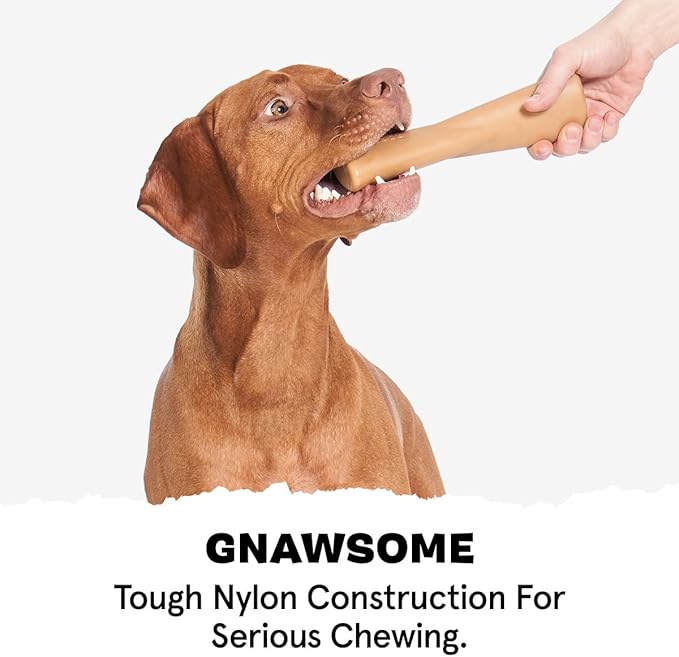 Barkbox Super Chewer Tough Dog Chew Toys for Aggressive Chewers, Dental Stimulating (Bacon Bone - Small) - PAWPICO