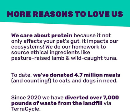 I AND LOVE AND YOU Wet Cat Food - Savory Salmon Pâté - Salmon Recipe, Grain Free, Filler Free, 3oz Pack of 4 Cans - PAWPICO