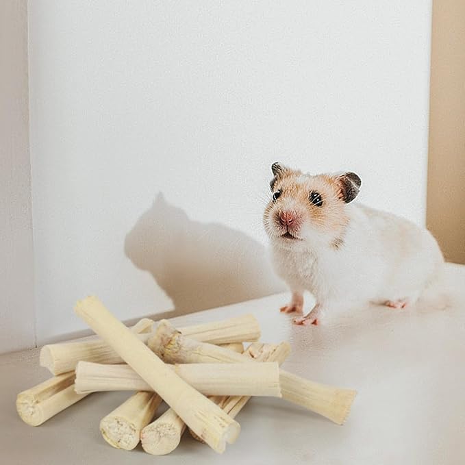 800g/1.76lb Sweet Bamboo Sticks for Rabbits Bunny Chew Toys Molar Treats Snack for Small Animals Hamsters Chinchillas Guinea Pigs Heylcm
