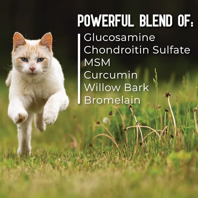 Hip + Joint Mobility Collar for Cats with Glucosamine, Chondroitin, MSM, and More | Convenient & Easy | 30 Days of Continuous Support | Water Resistant, Adjustable Activphy