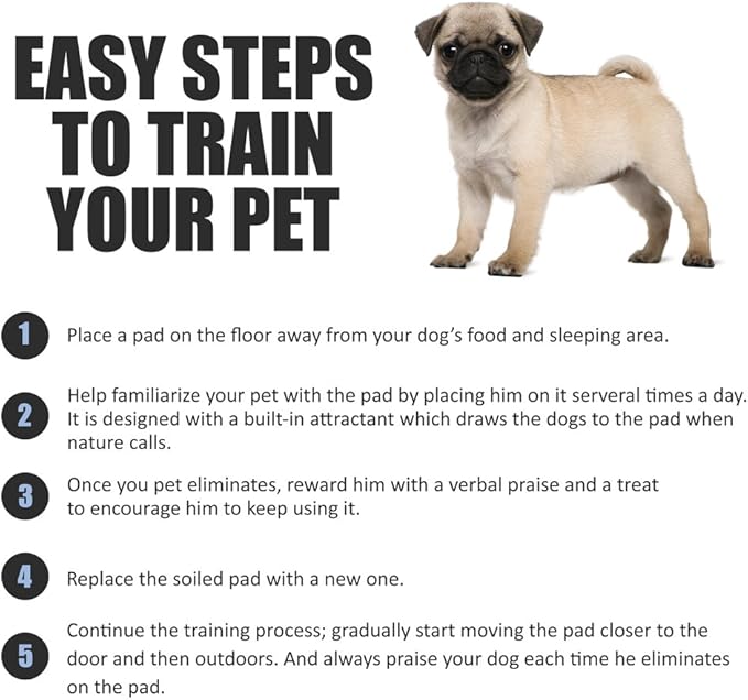 BV XL Puppy Pads X-Large Leak-Proof 28"x34" [40CT] | Pee Pads for Dogs Ultra Absorbent 6-Layer - Dog Pee Pads Extra Large - Dog Pads XL - Potty Pads for Dogs, Training Pads for Dogs, Dog Pad - PAWPICO