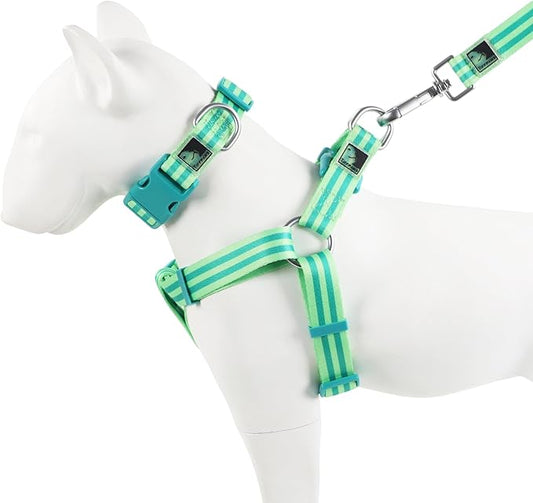 Striped 3-in-1 Suit Dog Collar, Harnesses & leashes Personalize Dog Collar for Dog Easy Cute Dog Leash Small Dog Collar Medium Dog Harness (Green, L) Tiffpaws