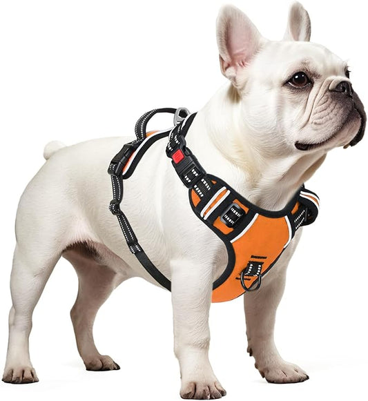 Timos Dog Harness Small Sized, No Pull Dog Harness with Neck Lockable Snap,No Choke Front Clip Dog Reflective Harness,Adjustable Metal Rings 3 Buckles,Easy Control Handle for Small Dogs Orange XS Timos