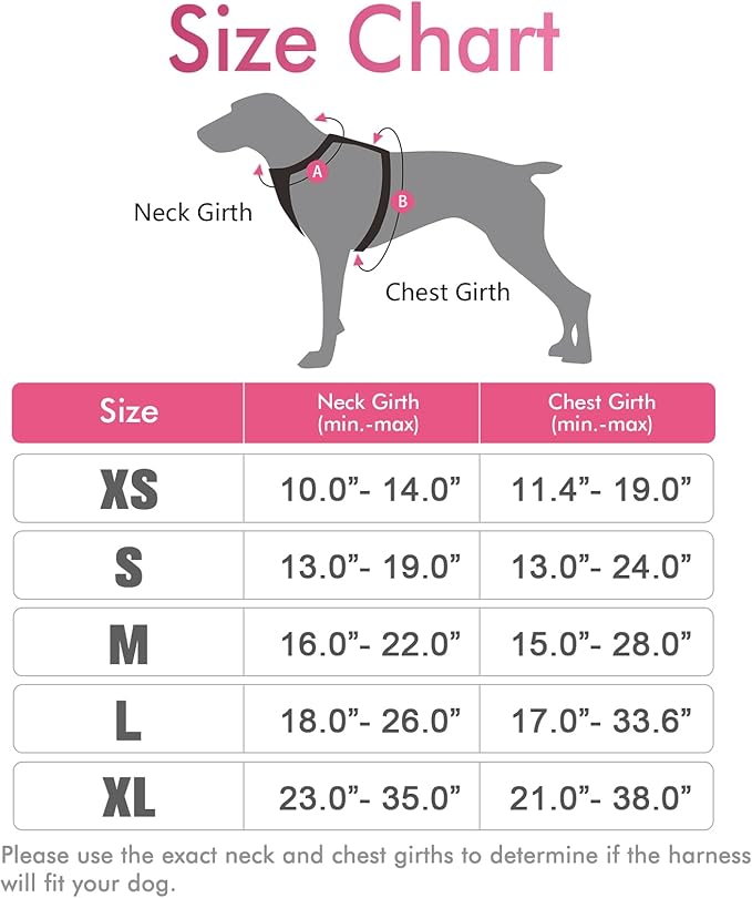 rabbitgoo Dog Harness, No-Pull Pet Harness with 2 Leash Clips, Adjustable Soft Padded Dog Vest, Reflective No-Choke Pet Oxford Vest with Easy Control Handle for Medium Dogs, Hot Pink, M - PAWPICO