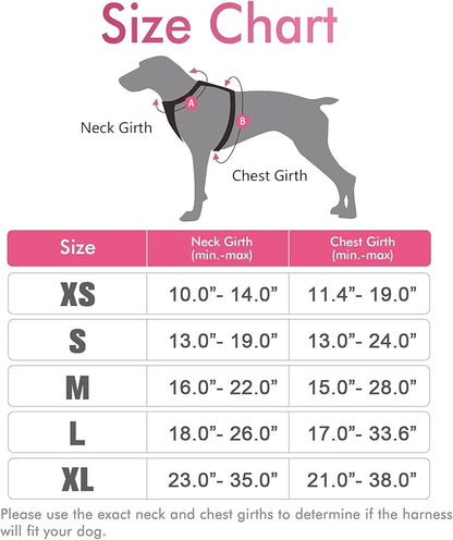rabbitgoo Dog Harness, No-Pull Pet Harness with 2 Leash Clips, Adjustable Soft Padded Dog Vest, Reflective No-Choke Pet Oxford Vest with Easy Control Handle for Medium Dogs, Hot Pink, M - PAWPICO