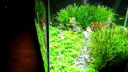 Finnex Planted+ 2.0 Aquarium LED Light, 660nm Plant Light, Moonlights Finnex