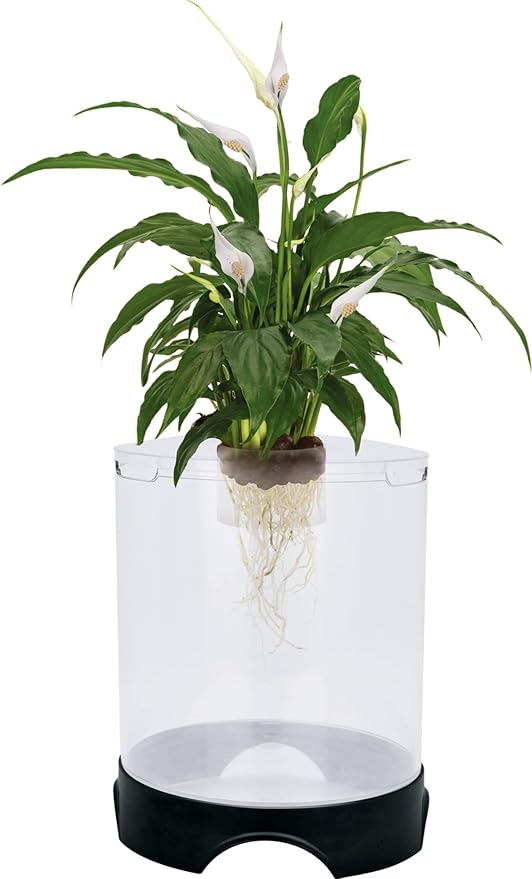 Penn-Plax Aquaponic Planter and Aquarium for Betta Fish | Tank Promotes Healthy Hydroponic Environment for Plants and Fish Penn-Plax