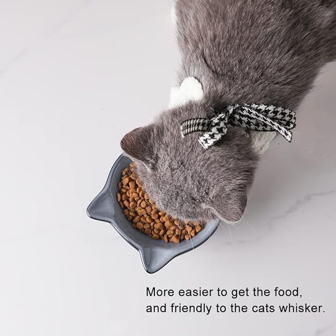 Nihow Elevated Cat/Dog Bowls: 5 Inch Ceramic Raised Cat Food & Water Bowl Set for Protecting Pet's Spine - Feeding & Watering Supplies for Pets - Elegant Gray (4.5 OZ /1 PC) - PAWPICO