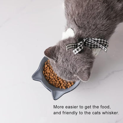 Nihow Elevated Cat/Dog Bowls: 5 Inch Ceramic Raised Cat Food & Water Bowl Set for Protecting Pet's Spine - Feeding & Watering Supplies for Pets - Elegant Gray (4.5 OZ /1 PC) - PAWPICO