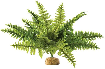 Exo Terra,Reptiles, Amphibians Boston Fern Terrarium Plant, Medium ExoTerra