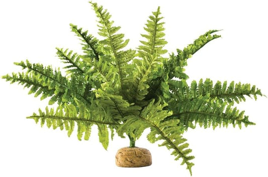 Exo Terra,Reptiles, Amphibians Boston Fern Terrarium Plant, Medium ExoTerra