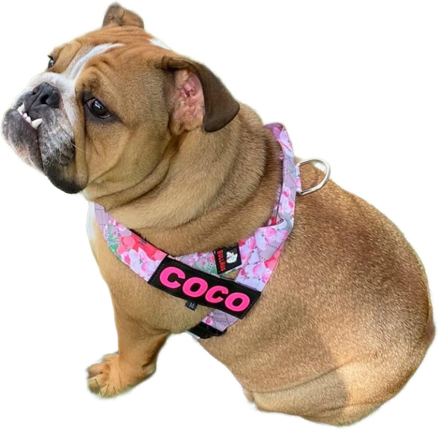 BULLHUG Harness – Made for Larger Chested Dogs Like English Bulldogs, French Bulldogs, Pugs & More. Stops Dogs from Pulling & Choking on Walks (Pink Floral, Large) BULLHUG