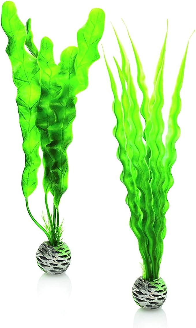 biOrb Medium Green Plant Set, Colorful and Durable Aquarium Decorations biOrb