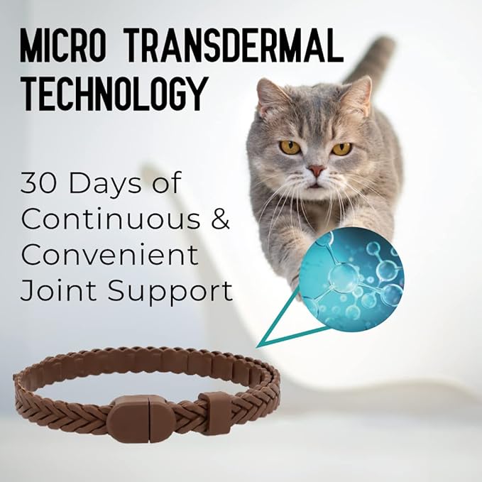 Hip + Joint Mobility Collar for Cats with Glucosamine, Chondroitin, MSM, and More | Convenient & Easy | 30 Days of Continuous Support | Water Resistant, Adjustable Activphy
