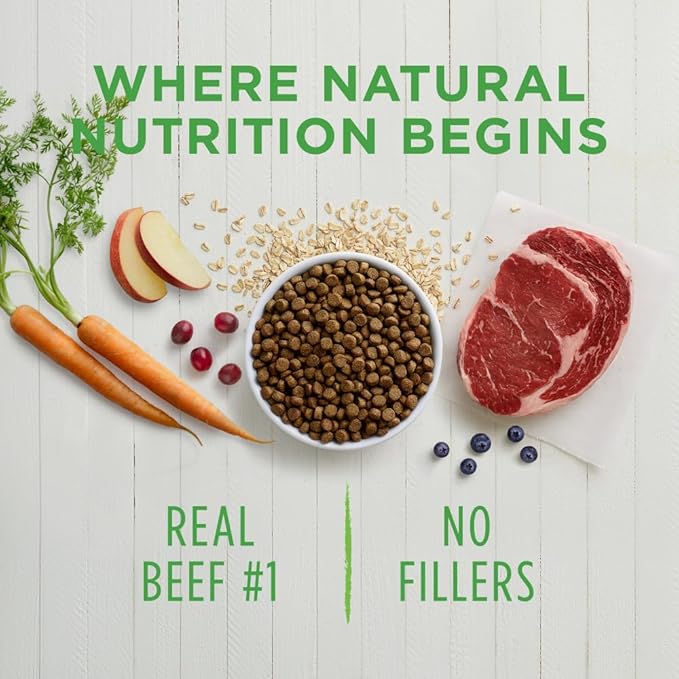 Instinct Be Natural Real Beef & Barley Recipe Natural Dry Dog Food, 25 lb. Bag - PAWPICO