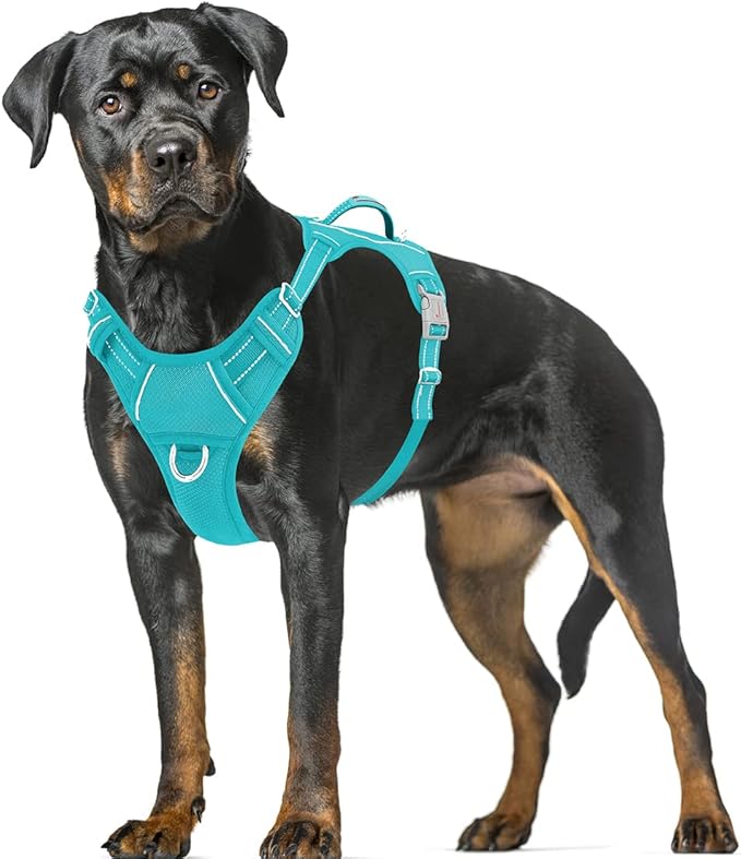 BARKBAY No Pull Dog Harness Large Reflective Dog Harness with Front Clip and Easy Control Handle for Walking Training Running with ID tag Pocket(Ocean Blue,XL) BARKBAY