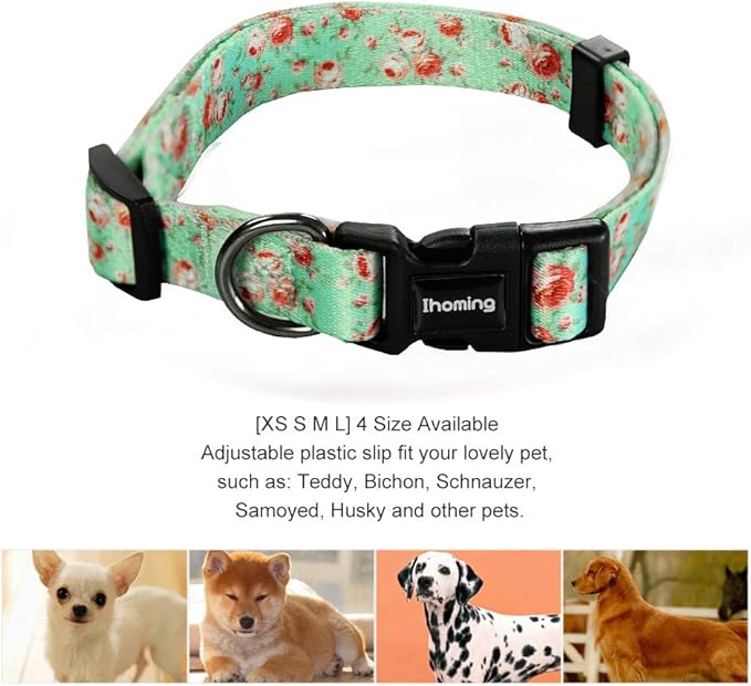 Ihoming Dog Collar and Leash Set for Daily Outdoor Walking Running Training, Floral GreenLake Design for Large Boys Girls Dogs Cats Pets, L-Up to 80LBS Ihoming