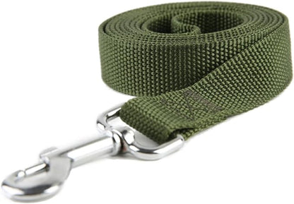 Nylon Dog Training Leash, Traction Rope, 4/5/6 Feet Long, 3/4 Inch 1 Inch Wide, for Small and Medium Dogs (1'' x 4 FT, Green) TAIDA
