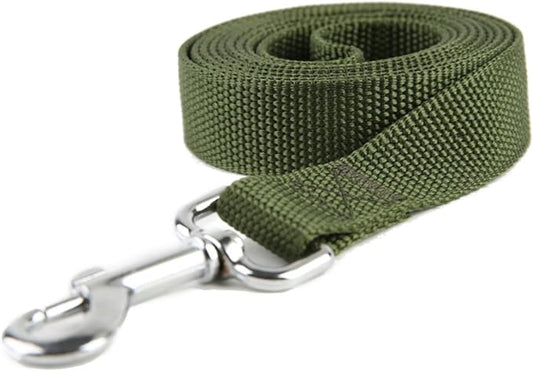 Nylon Dog Training Leash, Traction Rope, 4/5/6 Feet Long, 3/4 Inch 1 Inch Wide, for Small and Medium Dogs (1'' x 4 FT, Green) TAIDA