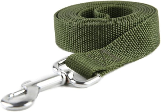 Nylon Dog Training Leash, Traction Rope, 4Ft /5 Foot /6 Feet Long, 5/8 inch 3/4 Inch 1 Inch Wide, for Small and Medium Dogs (1'' x 8 FT, Green) TAIDA