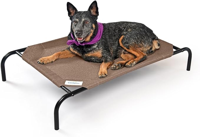 Coolaroo The Original Cooling Elevated Dog Bed, Indoor and Outdoor, Medium, Nutmeg - PAWPICO