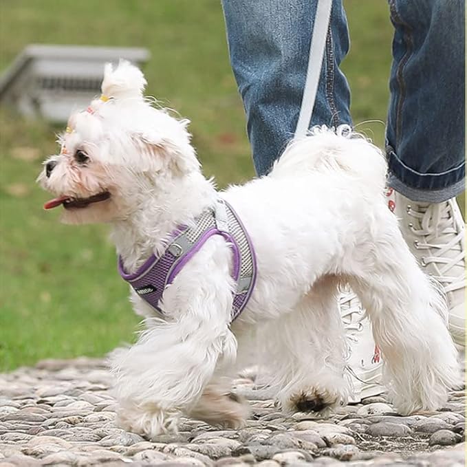 AIITLE Small Harness for Puppy with A Leash - Spring Dog Vest Harness with Super Breathable Mesh, Reflective No-Pull Pet Harness for Outdoor Walking, Camping for Small Dogs, Cats Purple XXS AIITLE-FORPETSBETTERLIFE