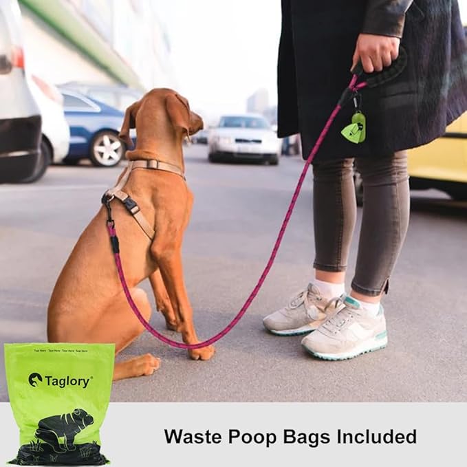 Taglory Rope Dog Leash 5 FT with Comfortable Padded Handle, Highly Reflective Threads Leash for Small Dogs, 3/8 inch, Hotpink Taglory