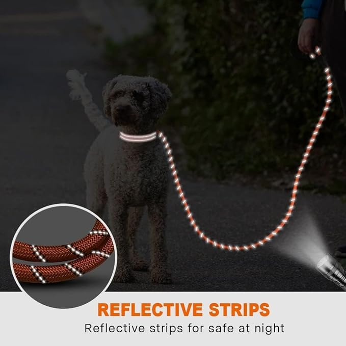 Taglory Rope Dog Leash 6 FT with Comfortable Padded Handle, Highly Reflective Threads Leash for Small Dogs, 3/8 inch, Orange Taglory