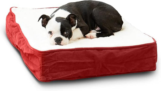 Happy Hounds Oscar Rectangle Orthopedic Foam Sherpa Dog Bed, Extra Small (24 x 18 in.), Red - PAWPICO