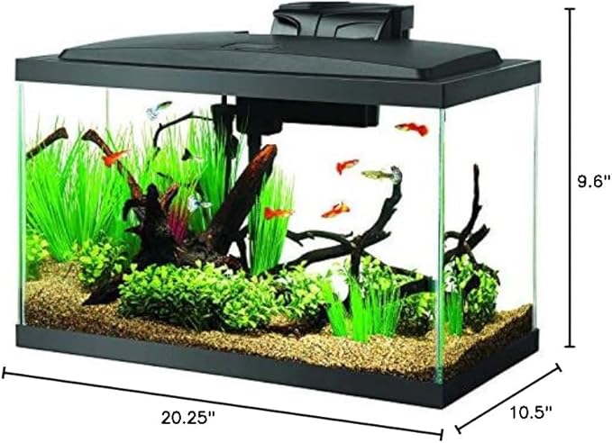 Aqueon Aquarium Fish Tank Starter Kit with LED Lighting 10 Gallon Fish Tank Aqueon