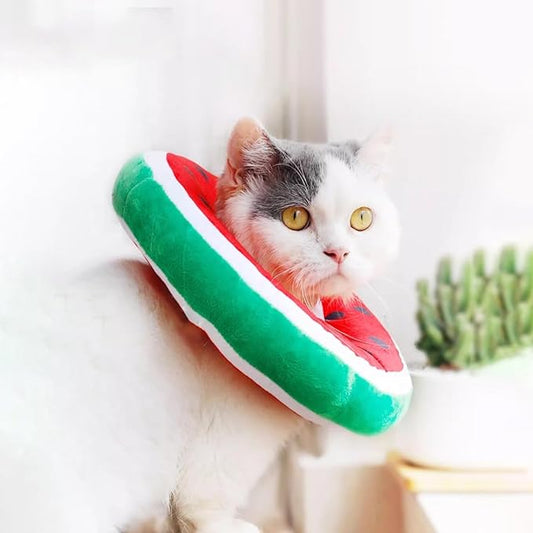 Cat Recovery Soft Collar, Waterproof Soft Recovery Collar. Anti-bite and Anti-Lick Wound Healing Safe Adjustable Elizabethan Collar.(S) Only for Cats up to 6 Months in Size PAWPICO