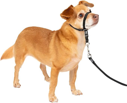 PetSafe Gentle Leader No-Pull Dog Headcollar - The Ultimate Solution to Pulling - Redirects Your Dog's Pulling for Easier Walks - Helps You Regain Control - Petite, Black PetSafe