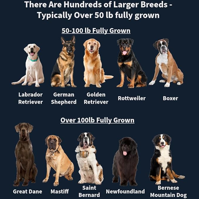 Large Breed Daily Multivitamin - Formulated for Large Dogs & Their Unique Health Needs, 90ct Delicious Bacon Flavor Dogletics