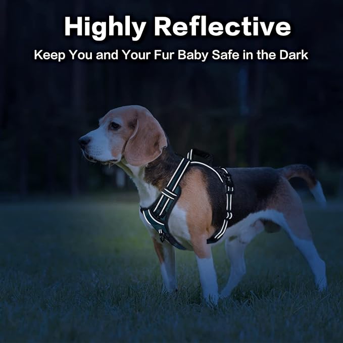 PoyPet No Pull Dog Harness, No Choke Front Clip Reflective Dog Vest with Soft Padded Vertical Handle, 3 Leash Attachments for Small Medium Large Dogs (Tumalo Teal,S) PoyPet